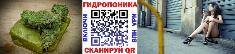 Canna-Cookies марихуана  Микунь 