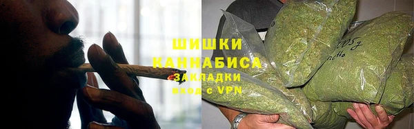 молекула духа Нефтекумск