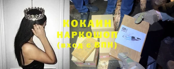 индика Нефтегорск