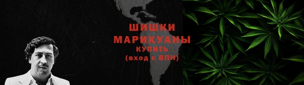 мдпв Володарск