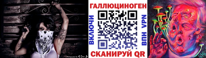 Псилоцибиновые грибы Psilocybine cubensis  Микунь 